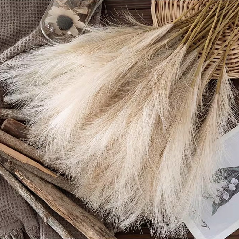 5PCS/set Artificial Flowers Pa - đánh giá và giá Pampas Grass Decor