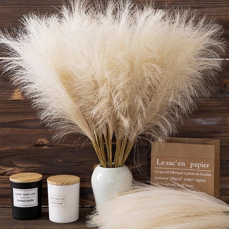 5PCS/set Artificial Flowers Pa - đánh giá và giá Pampas Grass Decor