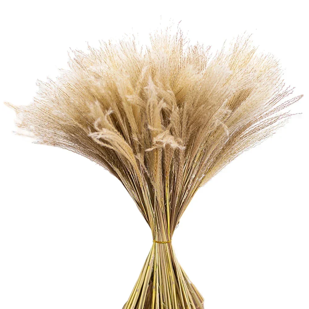 Artificial Flowers Pampas Gras - đánh giá và giá Pampas Grass Decor