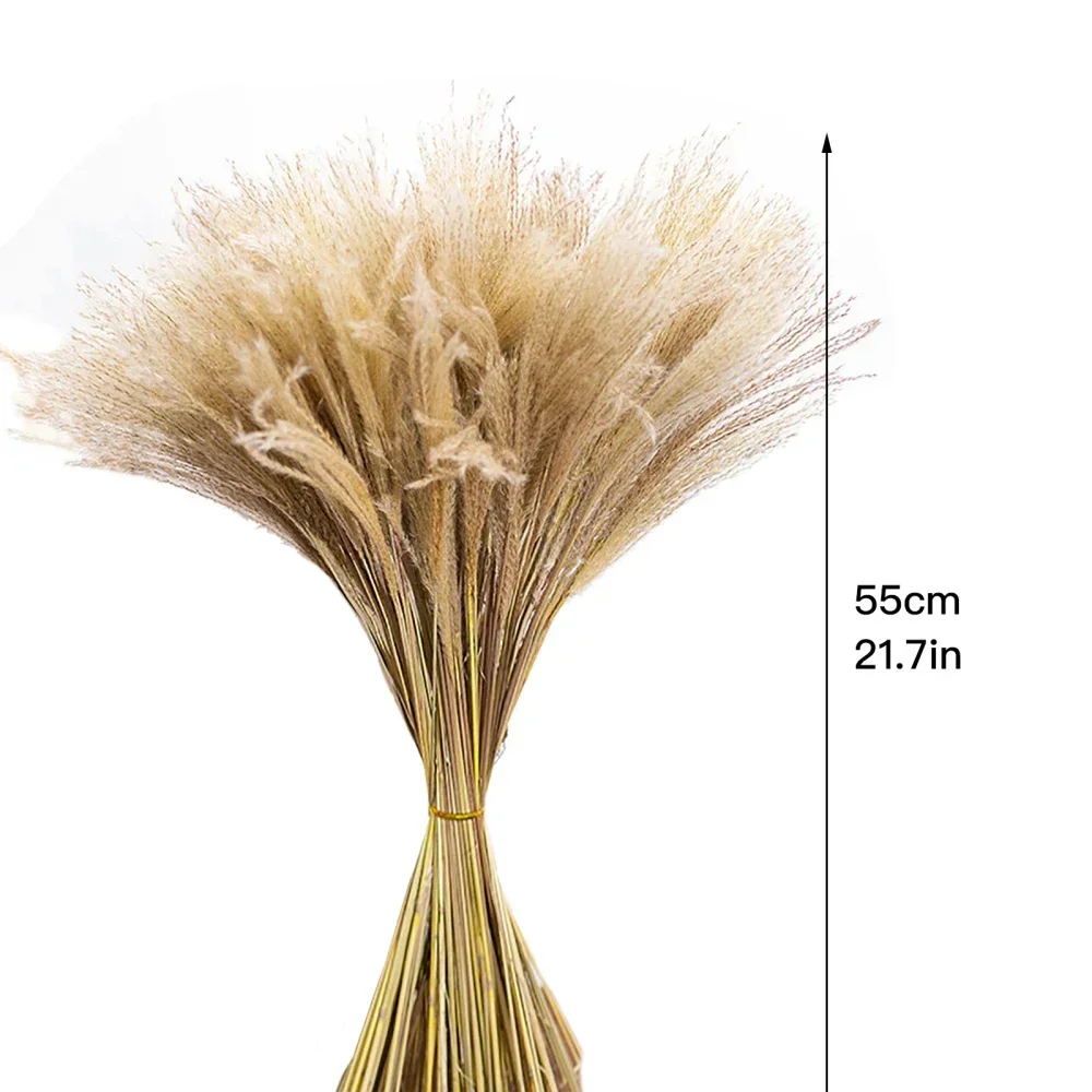 Artificial Flowers Pampas Gras - đánh giá và giá Pampas Grass Decor