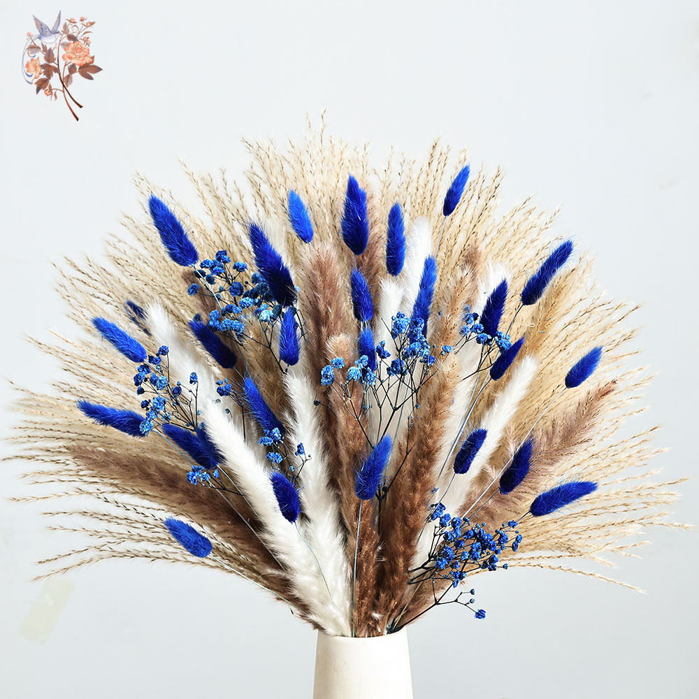 70 Stem Blue Fluffly Rabbit Ta - đánh giá và giá Pampas Grass Decor