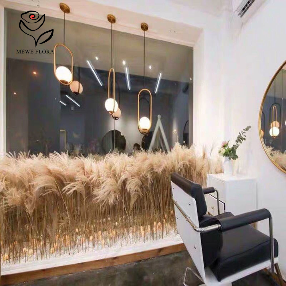 200PCS Natural Dried Fluffy Re - đánh giá và giá Pampas Grass Decor