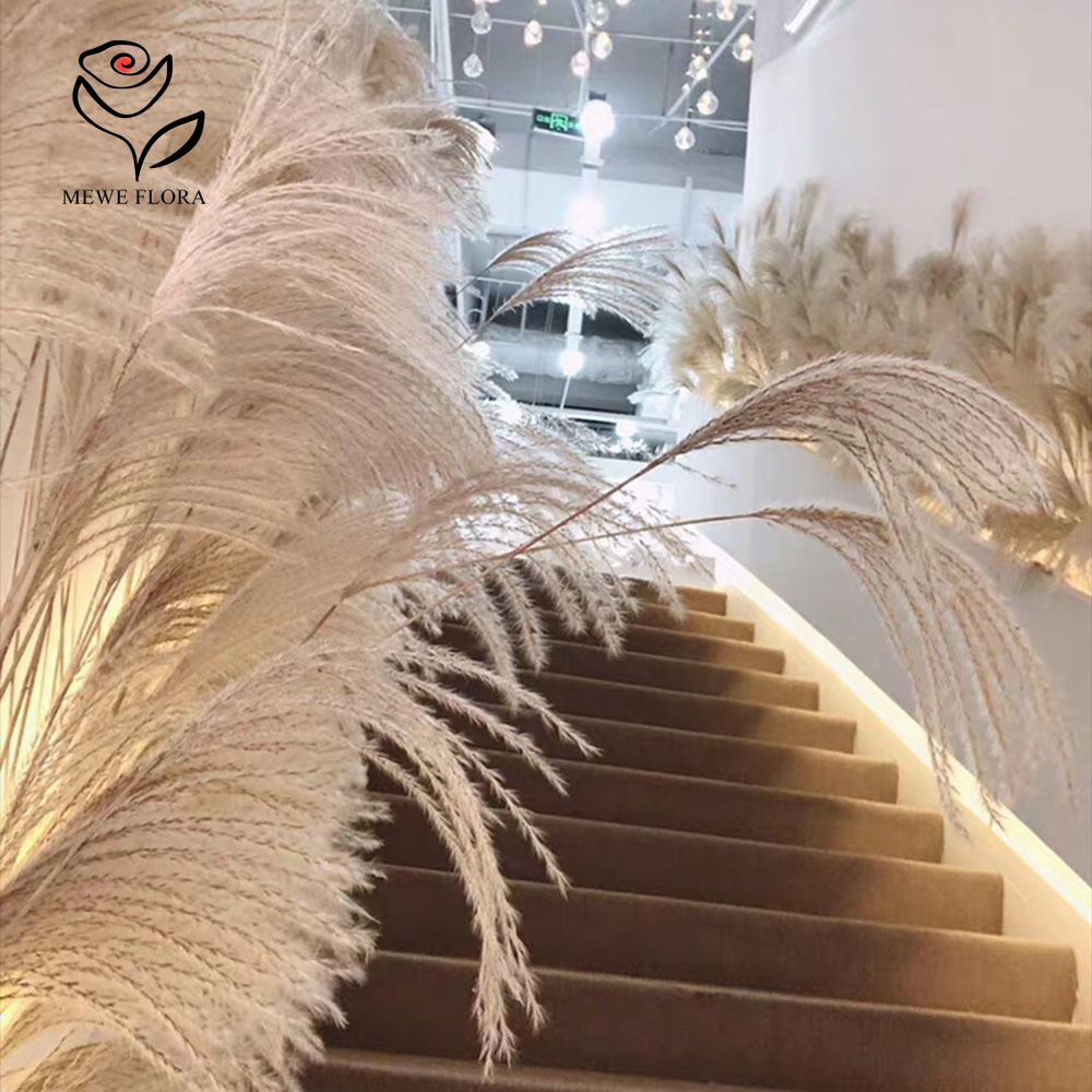 200PCS Natural Dried Fluffy Re - đánh giá và giá Pampas Grass Decor
