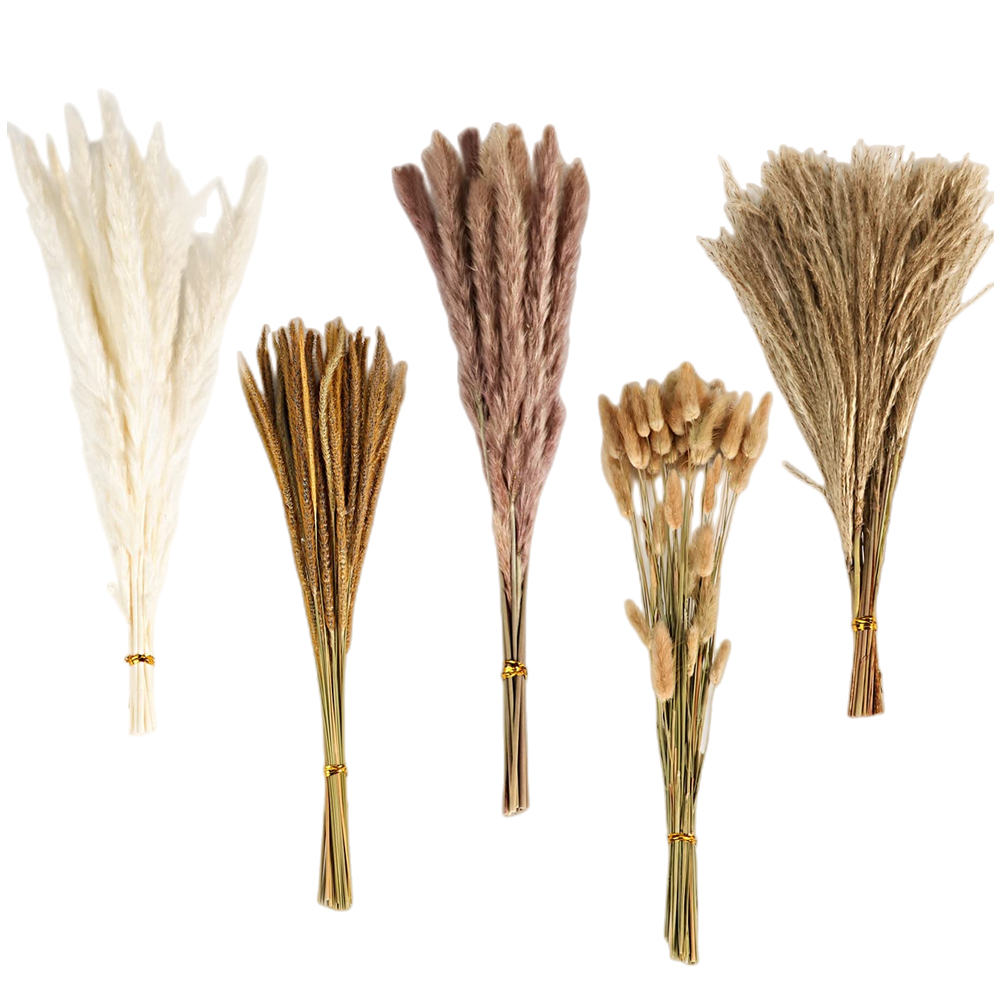 Autumn Vintage Mixed Dried Flo - đánh giá và giá Pampas Grass Decor