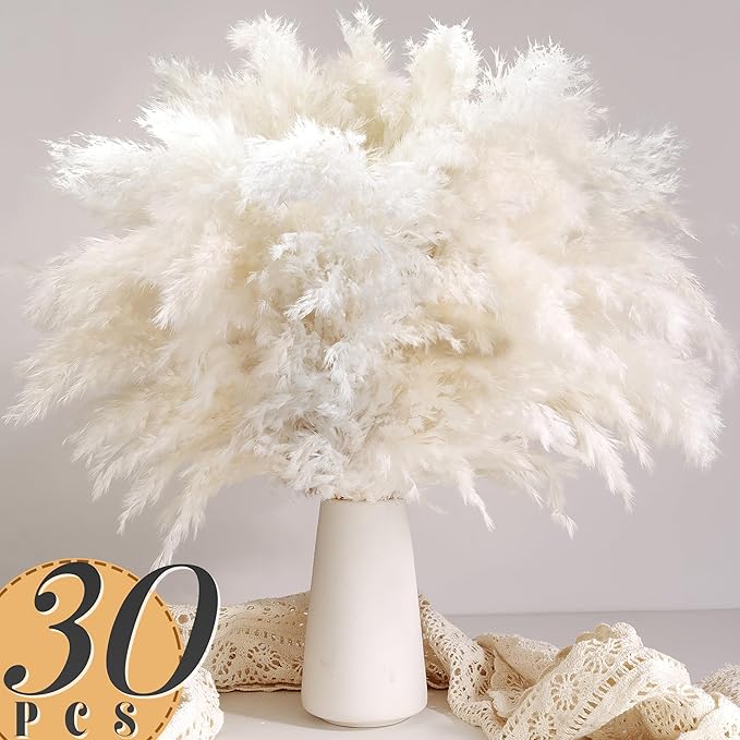30PCS White Pampas Grass for H - đánh giá và giá Pampas Grass Decor