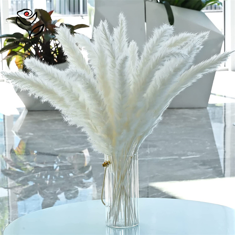 18 Stems Natural Dried Flowers - đánh giá và giá Pampas Grass Decor