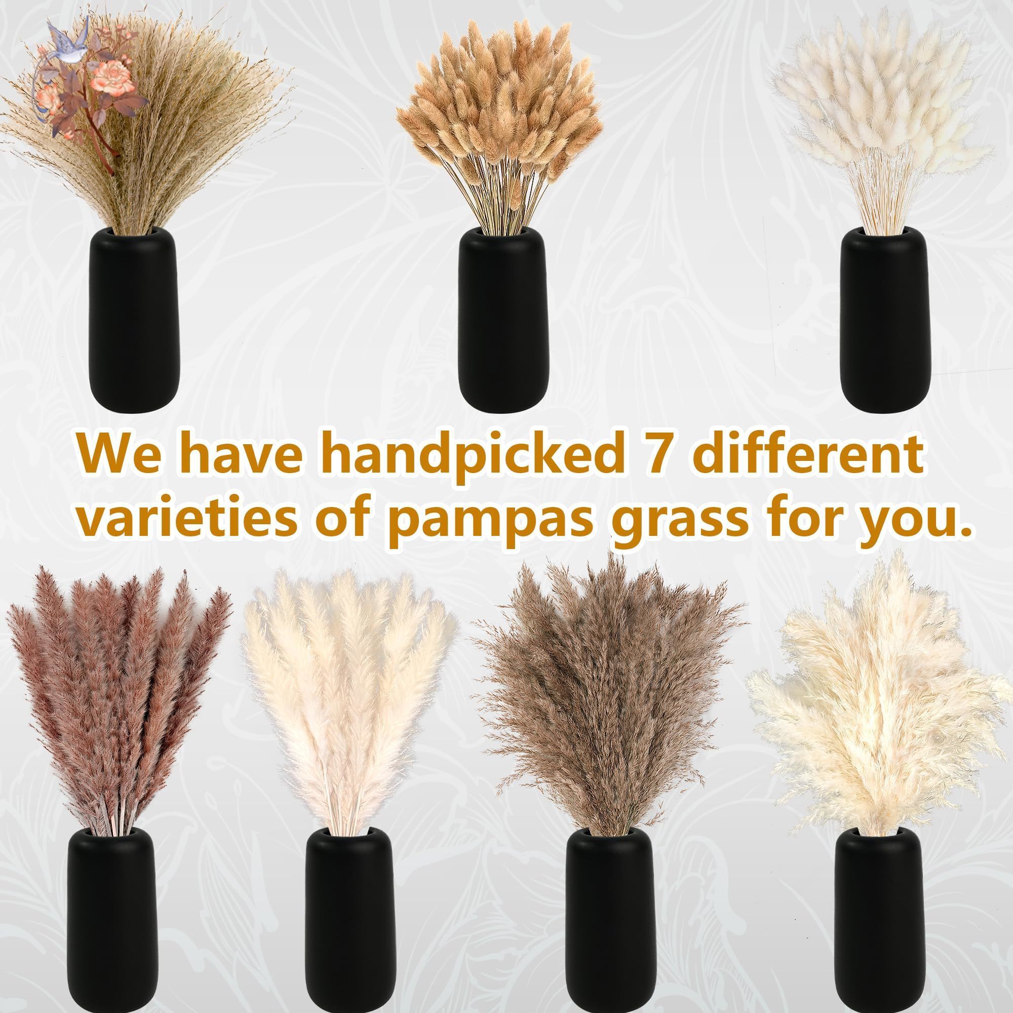 300Pcs Natural Large Pampas Gr - đánh giá và giá Pampas Grass Decor