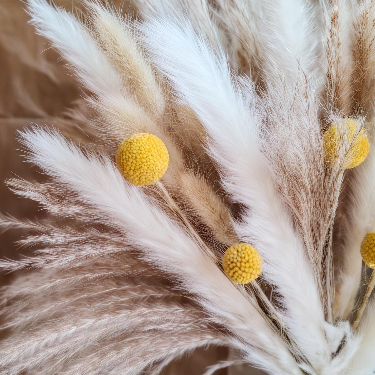Dried Pampas Grass Bouquet Nat - đánh giá và giá Pampas Grass Decor