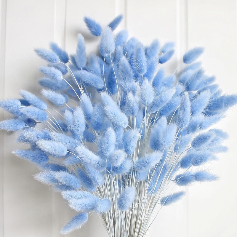 100PCS Blue Hare's-tail Grass  - đánh giá và giá Pampas Grass Decor