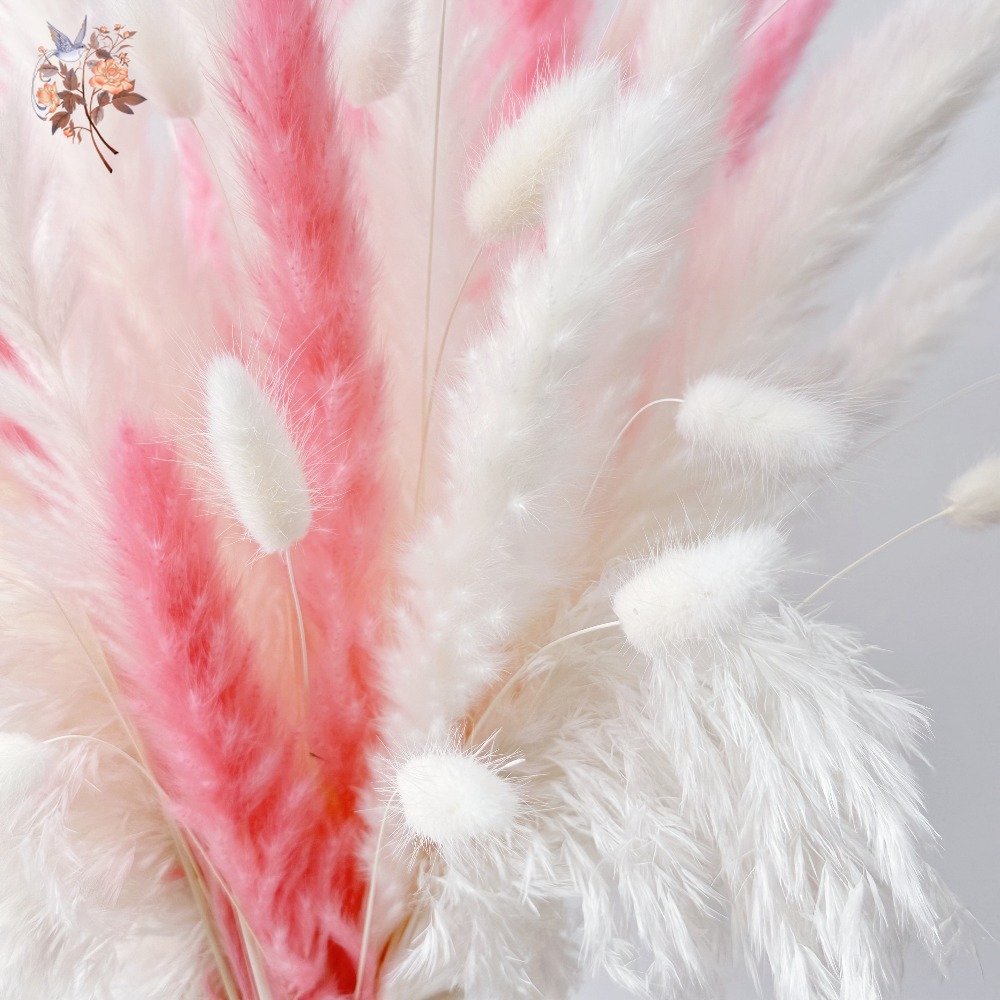 55pcs pink eternal flowers bou - đánh giá và giá Pampas Grass Decor