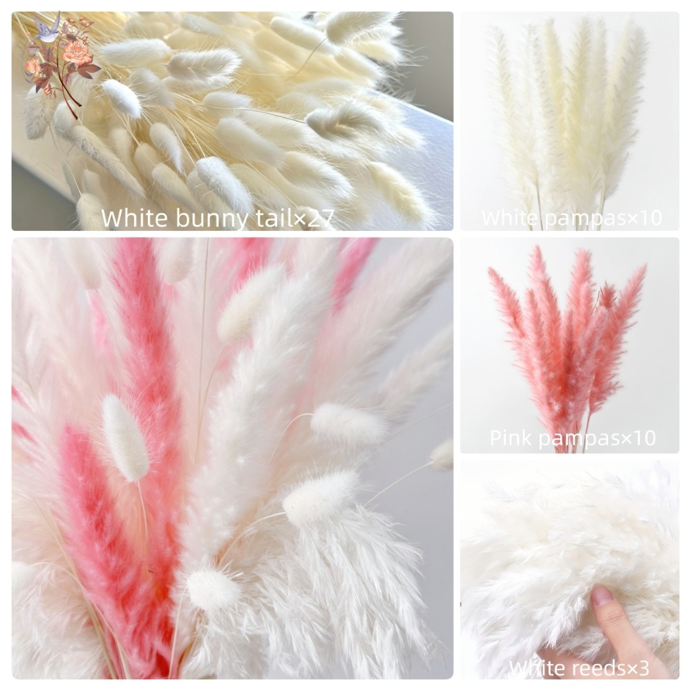 55pcs pink eternal flowers bou - đánh giá và giá Pampas Grass Decor