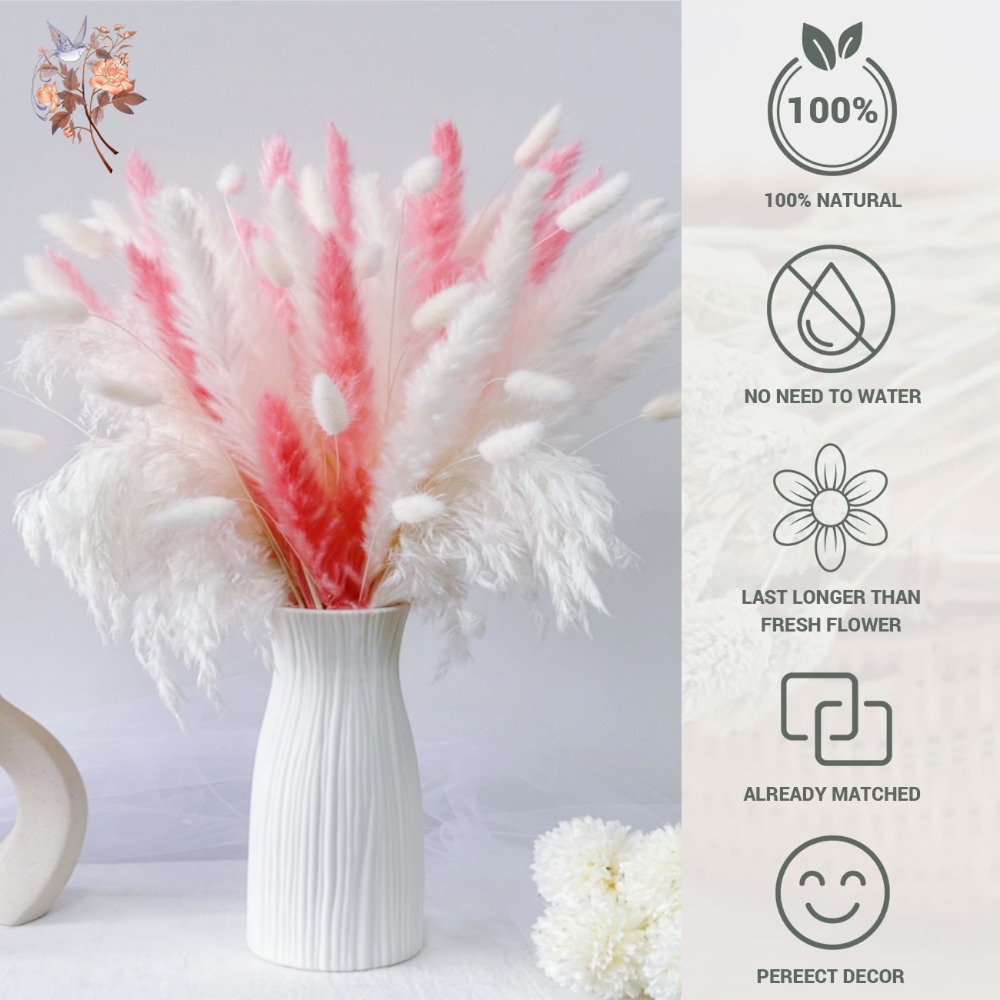 55pcs pink eternal flowers bou - đánh giá và giá Pampas Grass Decor
